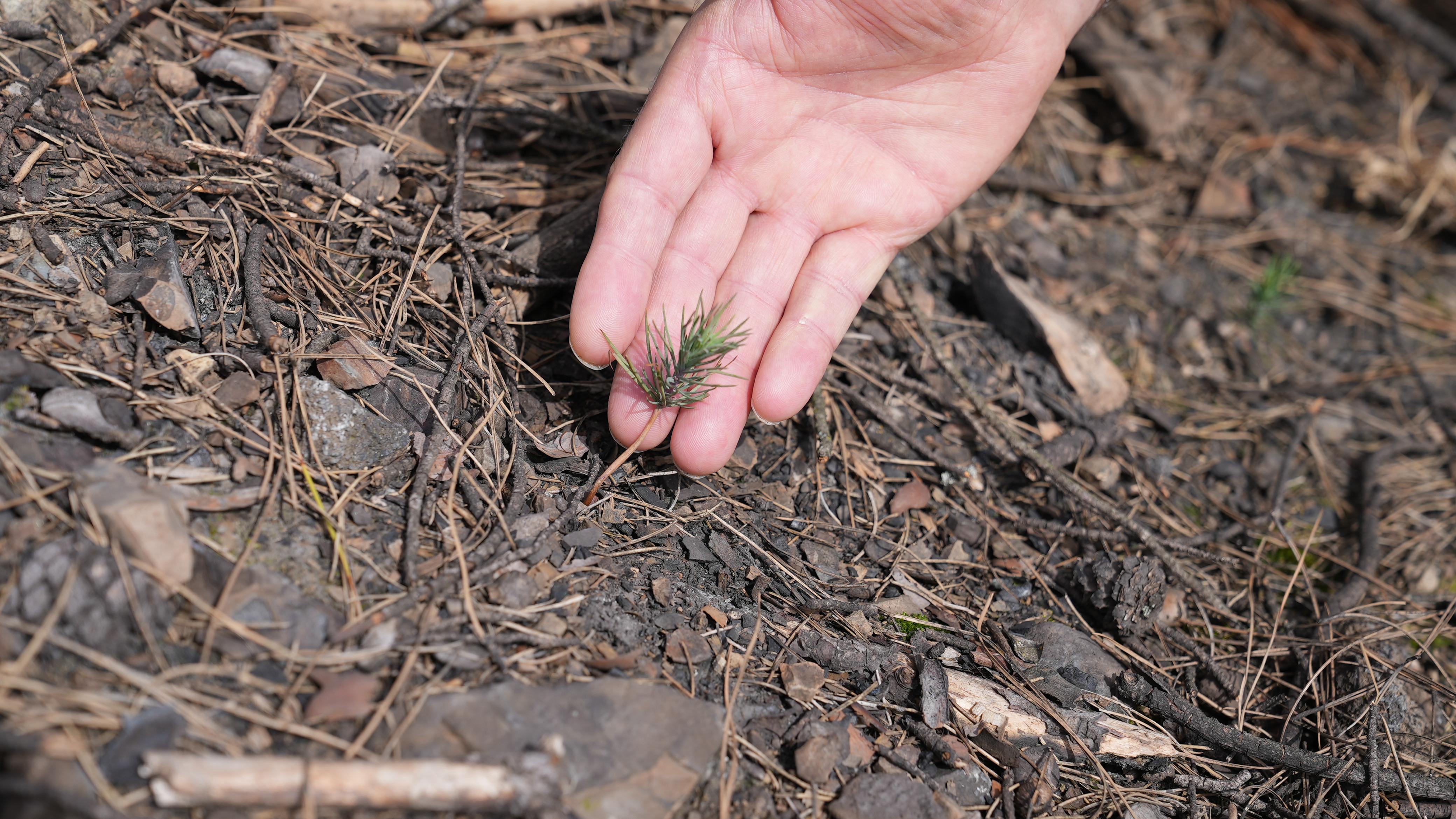 BAŞKAN IŞIK’TAN YEŞİL GÜRSU ÇAĞRISI