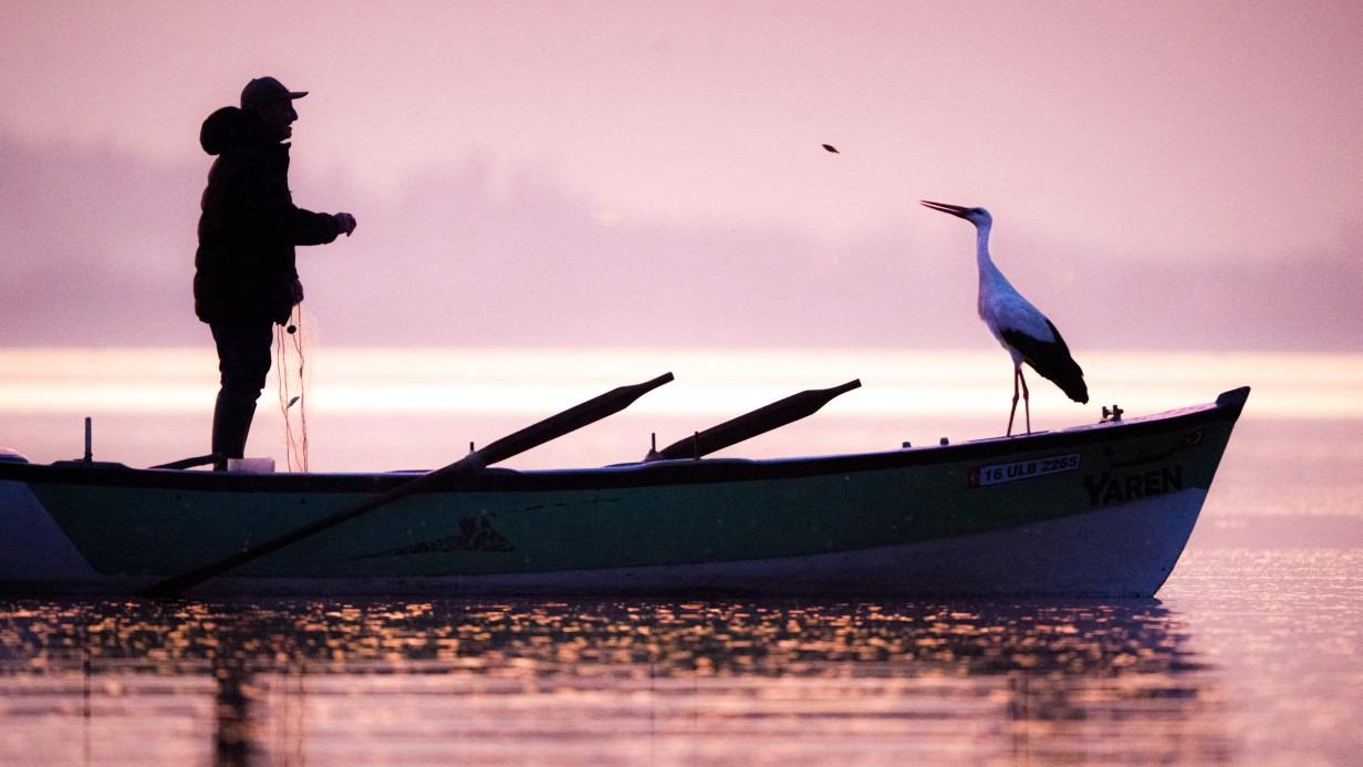 'Bursa Leylek Şenliği' başlıyor
