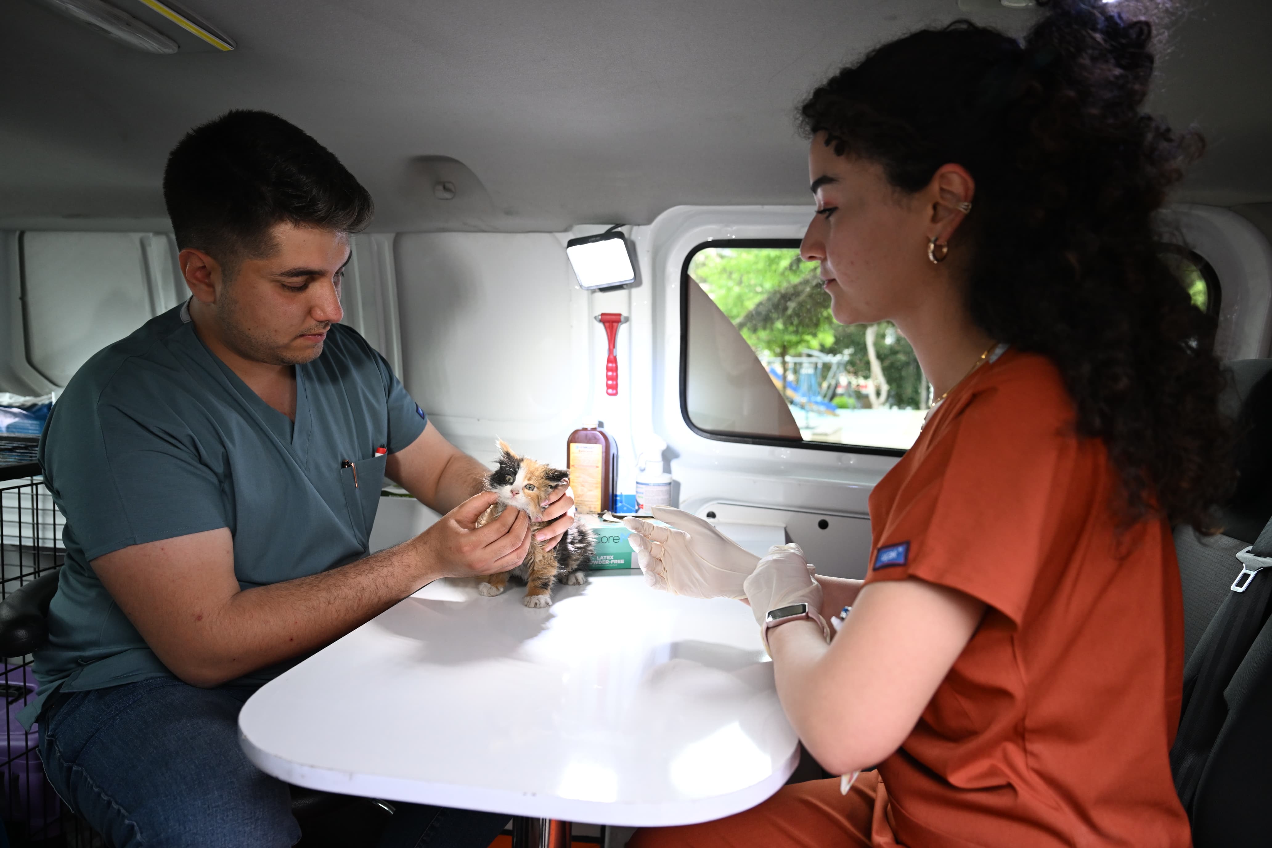SAHİPSİZ SOKAK HAYVANLARINA ‘PATİVET’ ŞEFKATİ