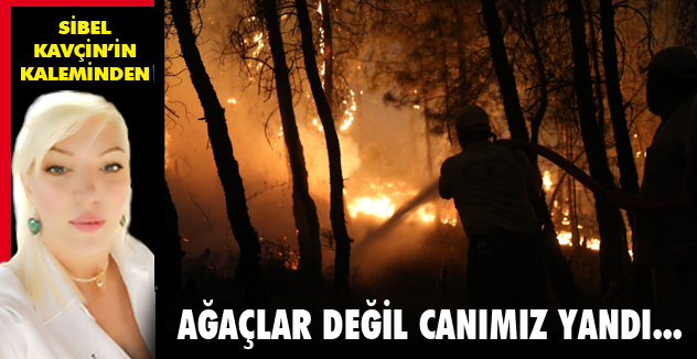 AĞAÇLAR DEĞİL CANIMIZ YANDI...