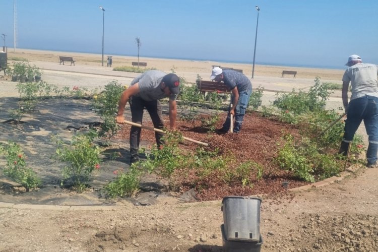 Karacabey Belediyesi’nden doğaya saygılı estetik çalışmalar