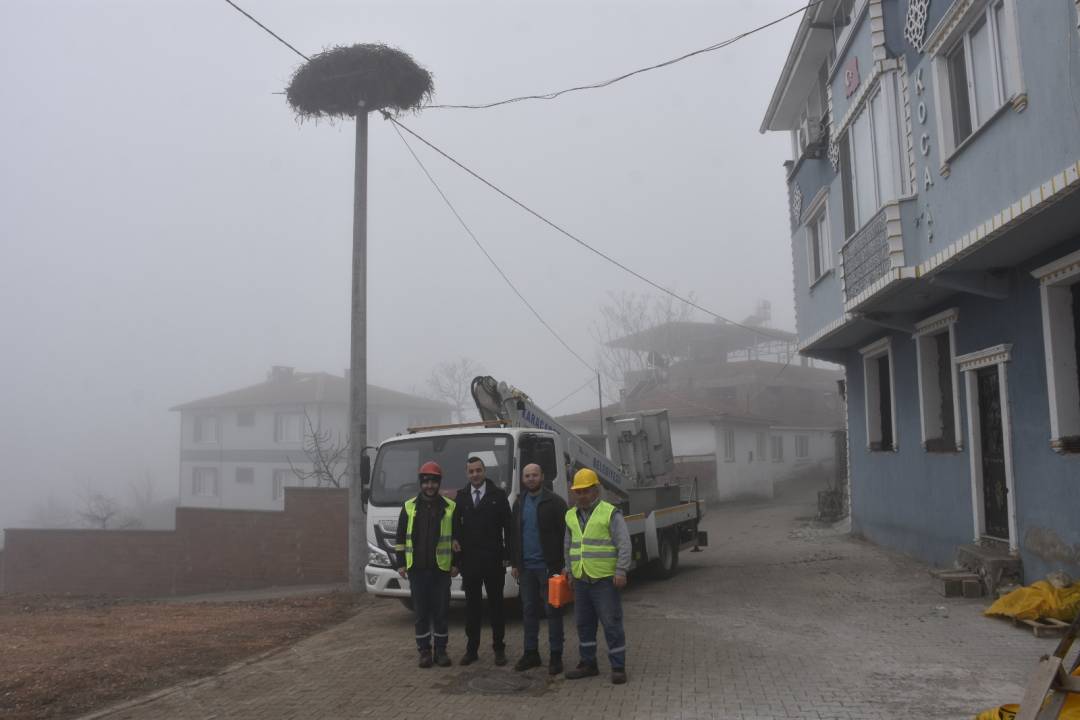 Karacabey'deki leylek yuvalarında geleneksel temizlik devam ediyor