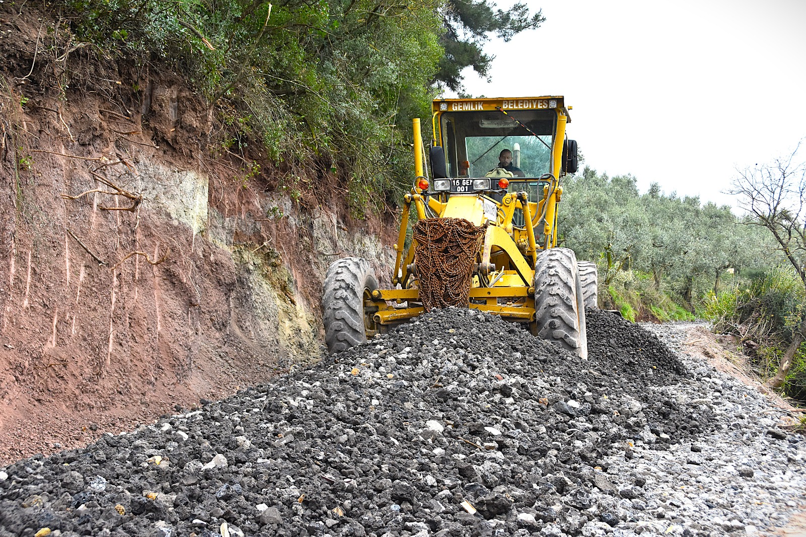 Gemlik'te Patili Canlar Yeni Yuvalarına Kavuşuyor