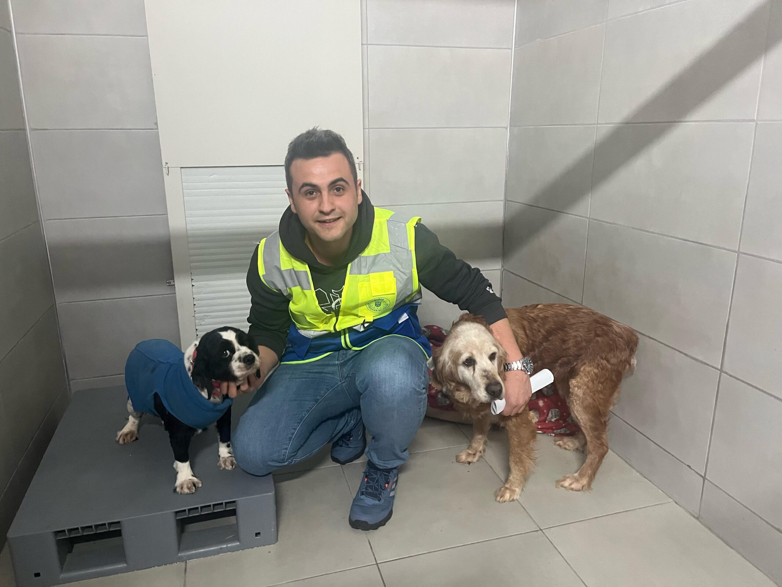 Büyükşehir, bayramda da can dostların yanında