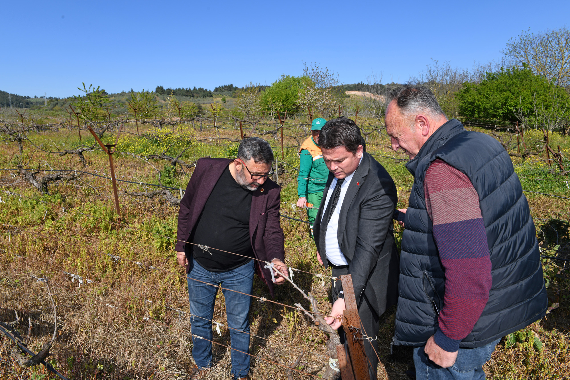 Başkan Aydın zirai don mağduru çiftçileri yalnız bırakmadı