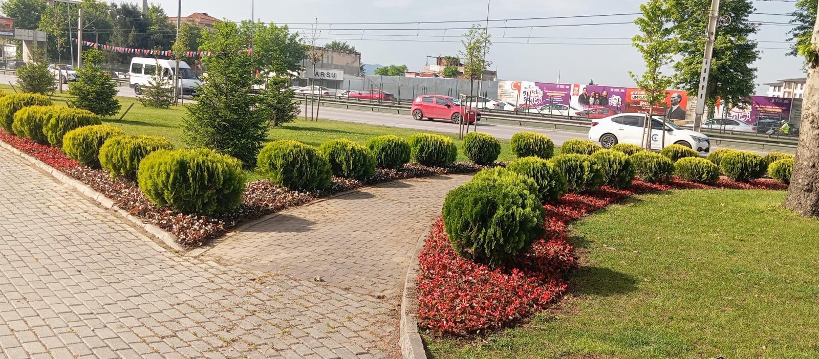 Bursa çiçek bahçesine dönüşüyor