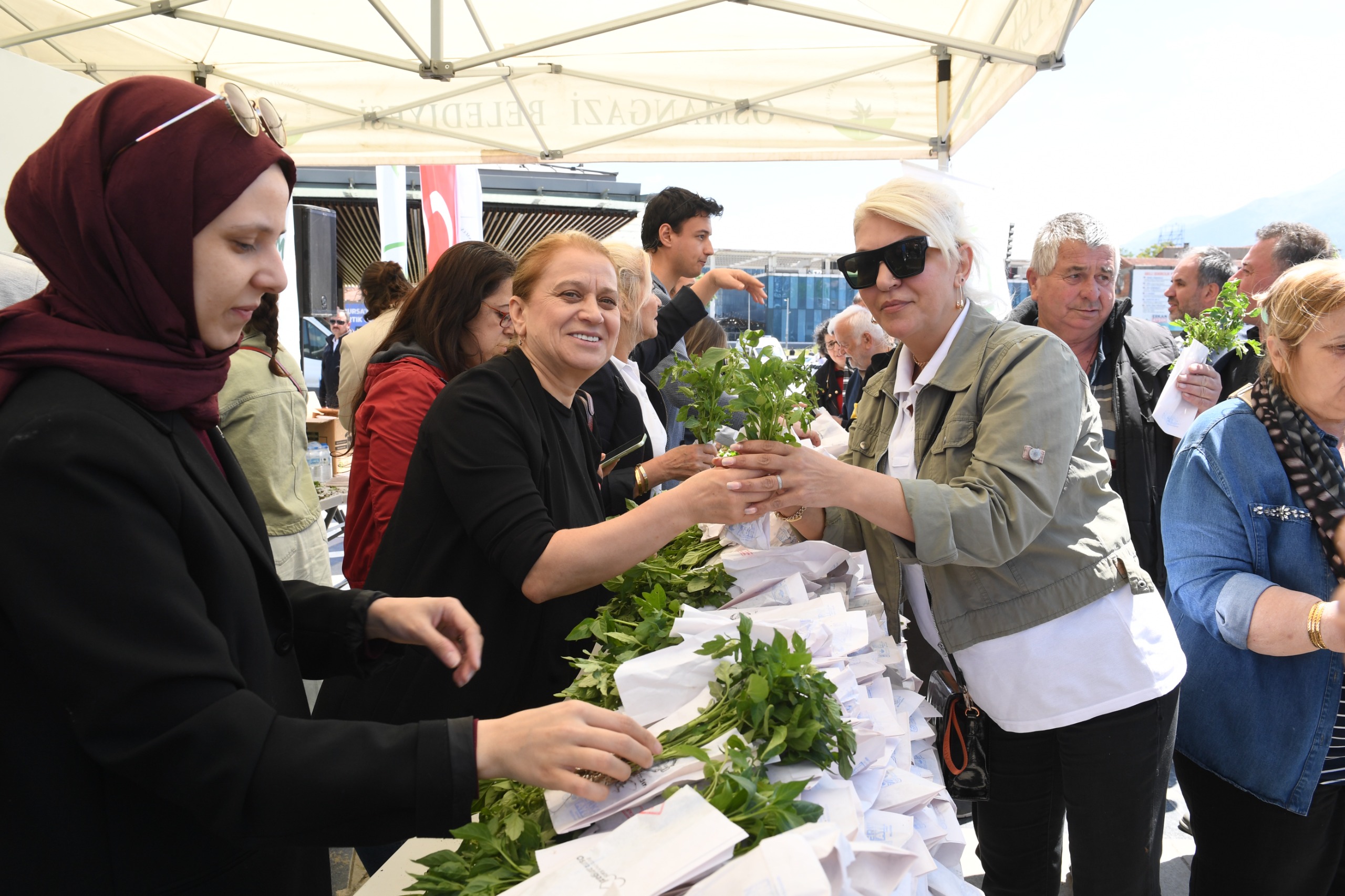 Osmangazi Belediyesi’nden ücretsiz fide dağıtımı