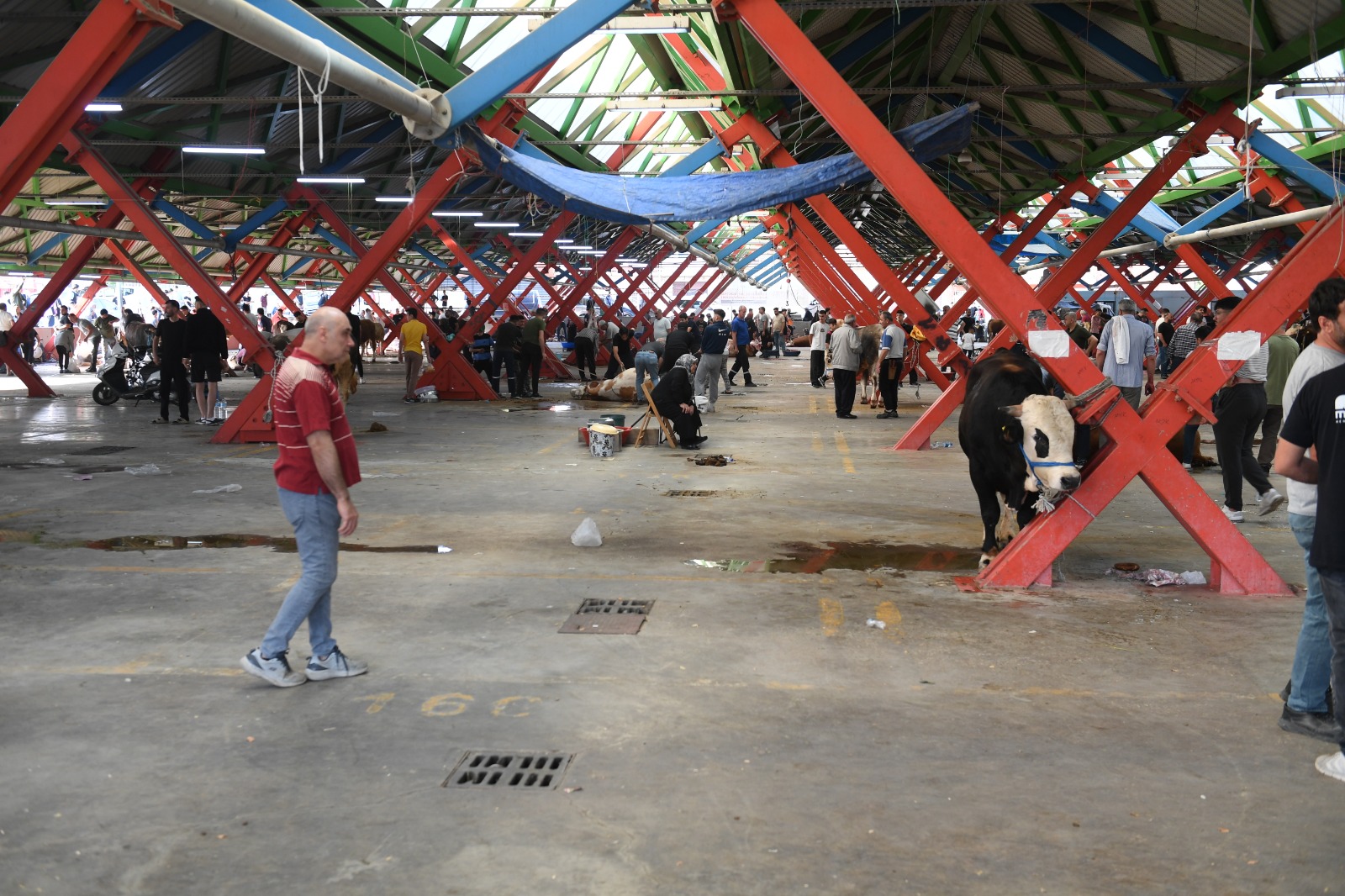 Osmangazililer kurban ibadetlerini hijyenik ortamlarda yerine getirdi