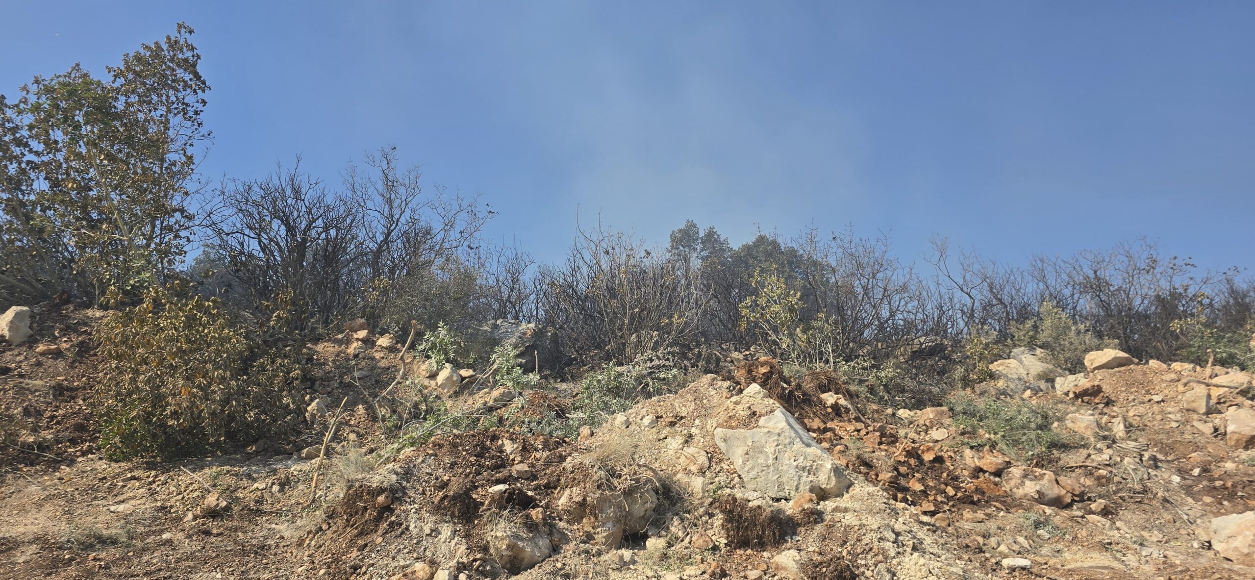 Nilüfer’de yangın başarıyla söndürüldü