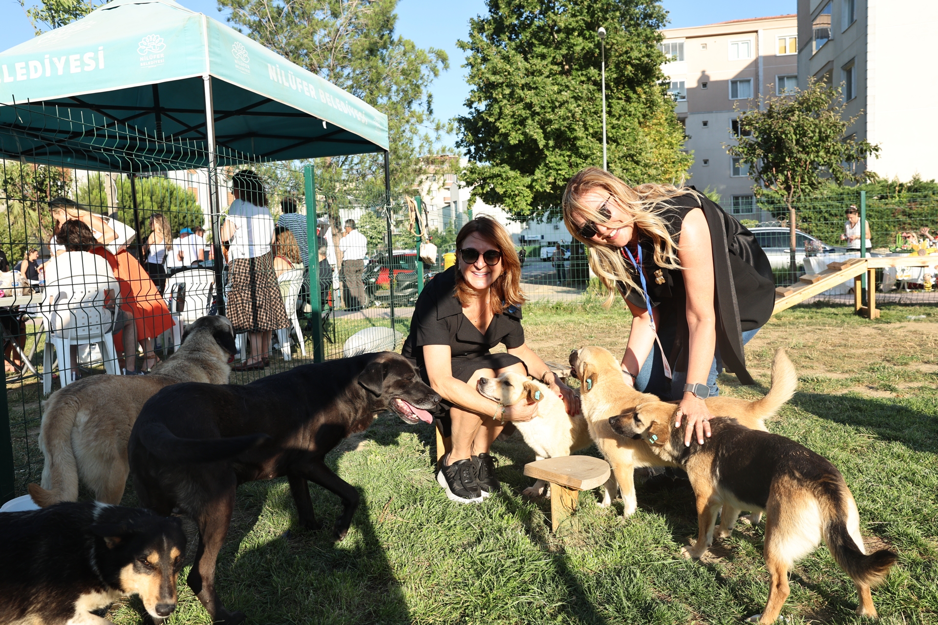 Nilüfer’de can dostlar yeni yuvalarına kavuştu