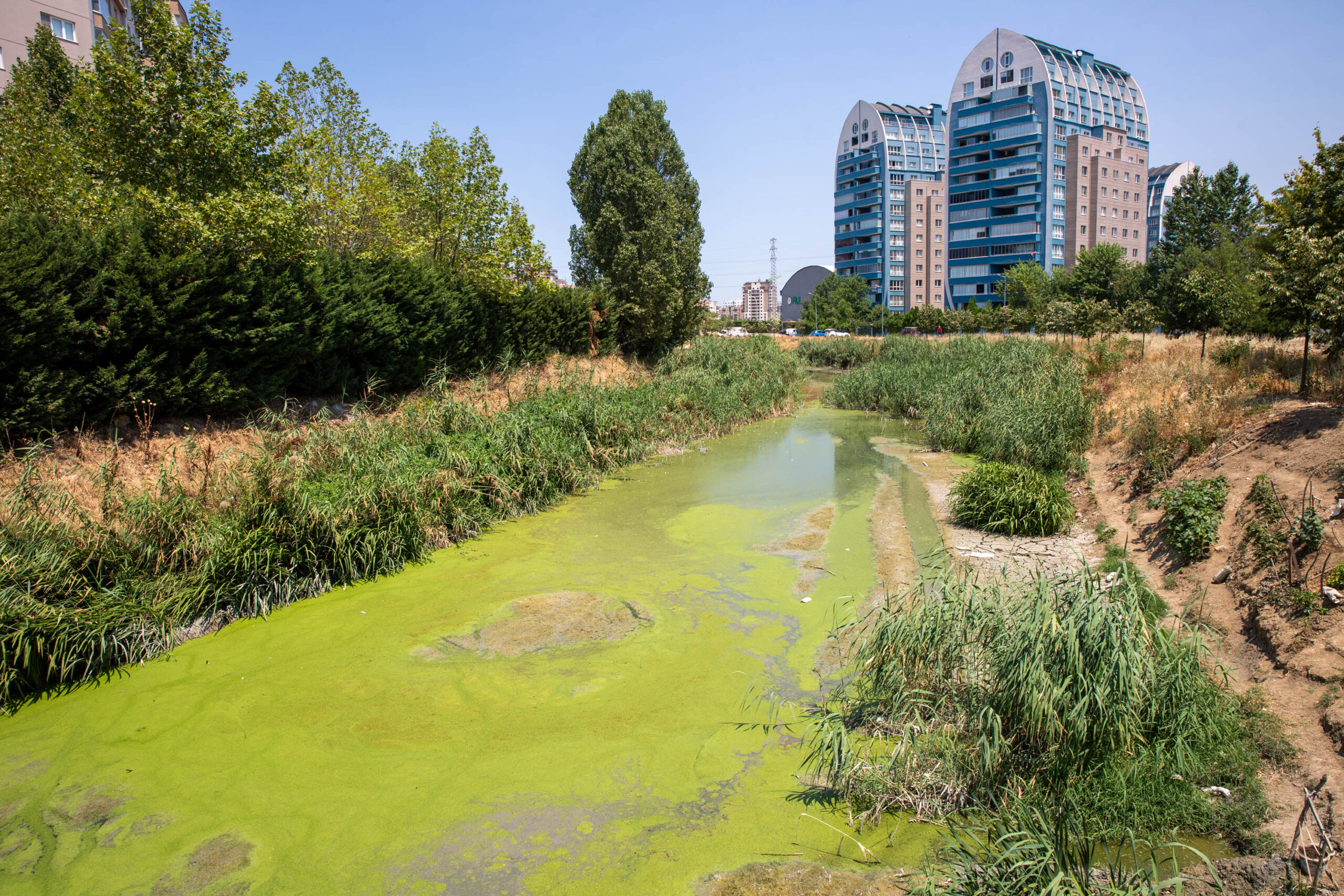 Büyükşehir’den Ayvalı Dere’de temizlik ve ıslah çalışması