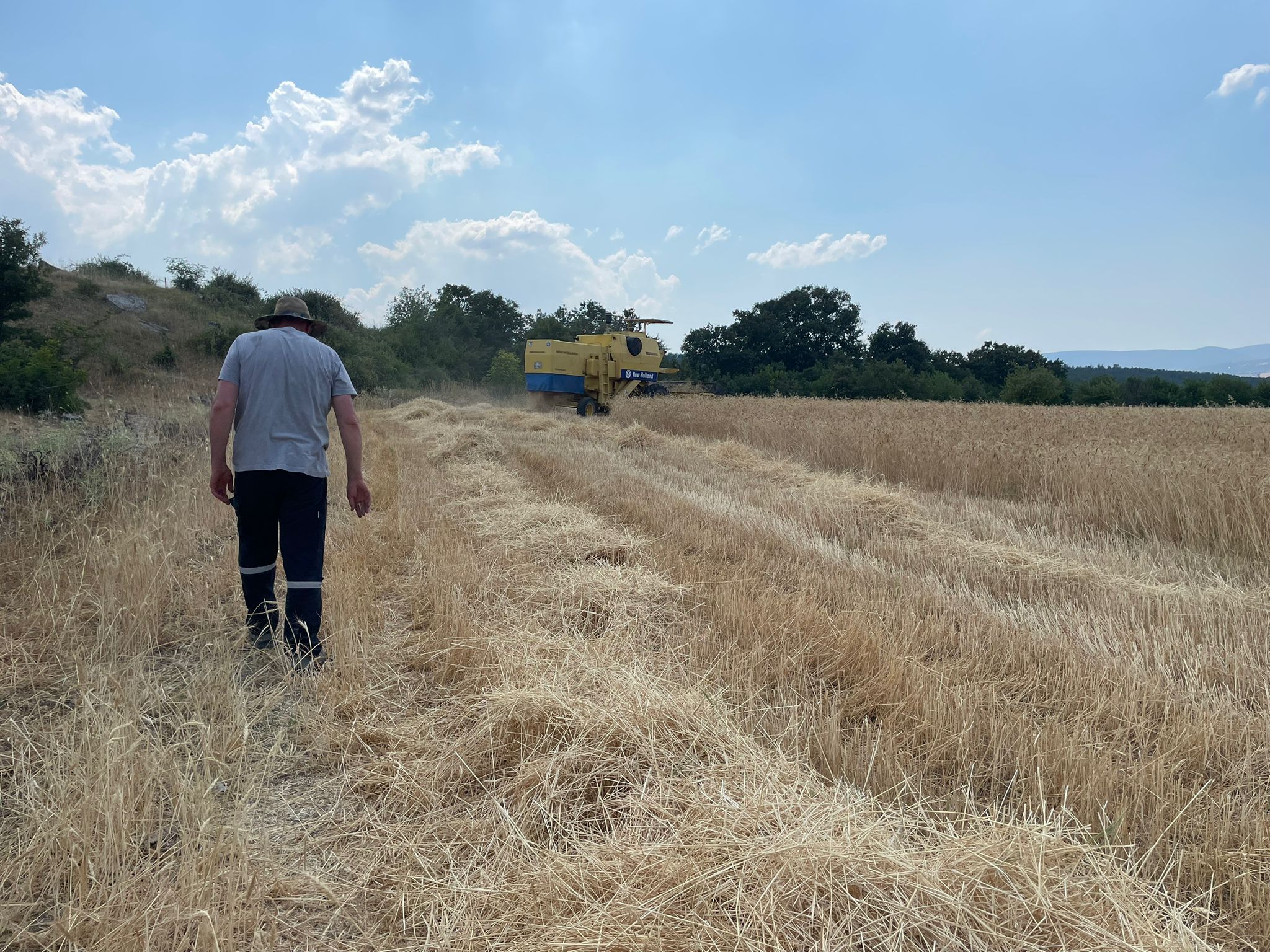 Büyükşehir'den kırsaldaki üreticilere biçerdöver desteği