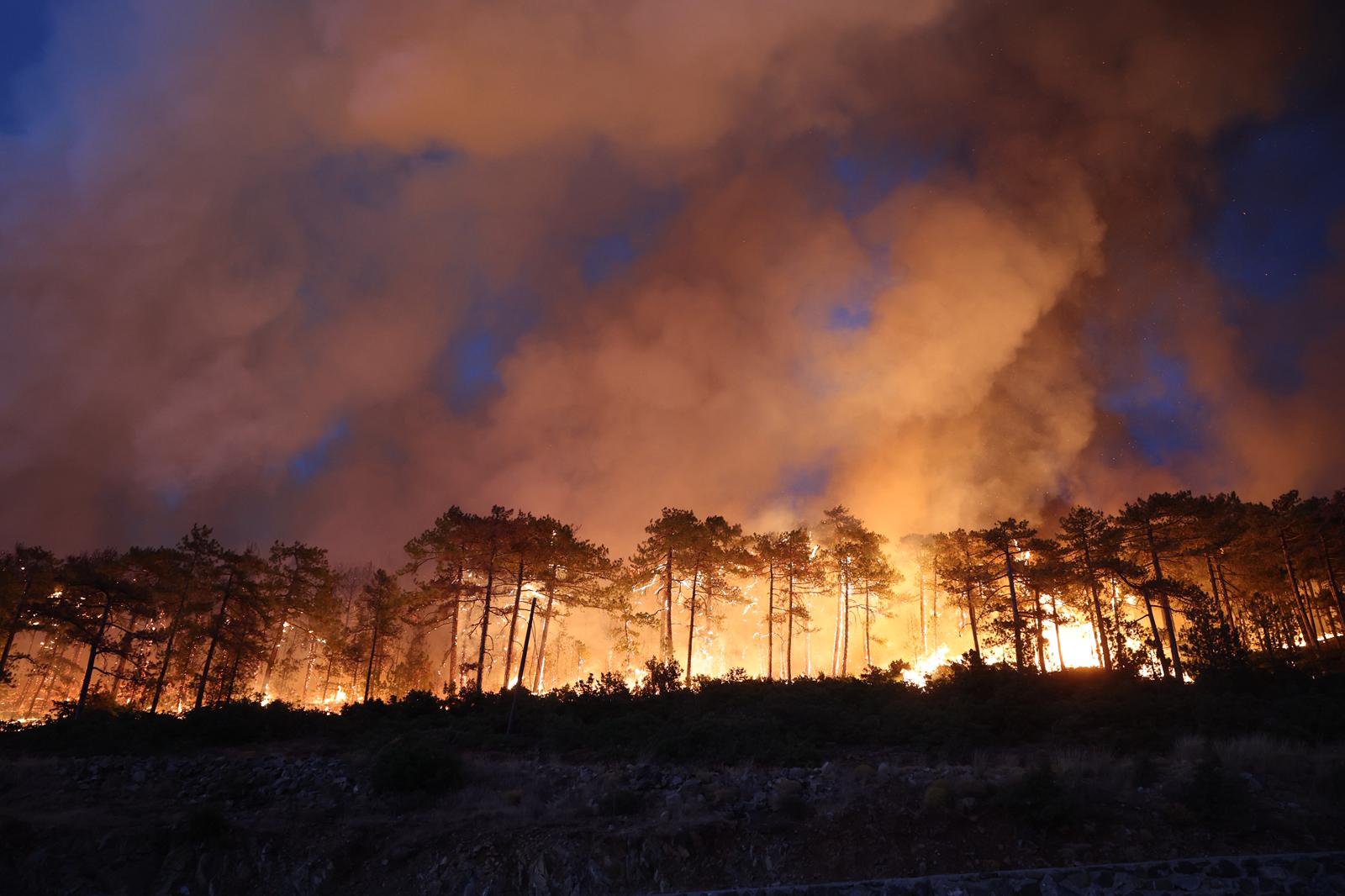 Başkan Bozbey, “Yangının 6 farklı bölgede bir anda başlamış olması düşündürücü”