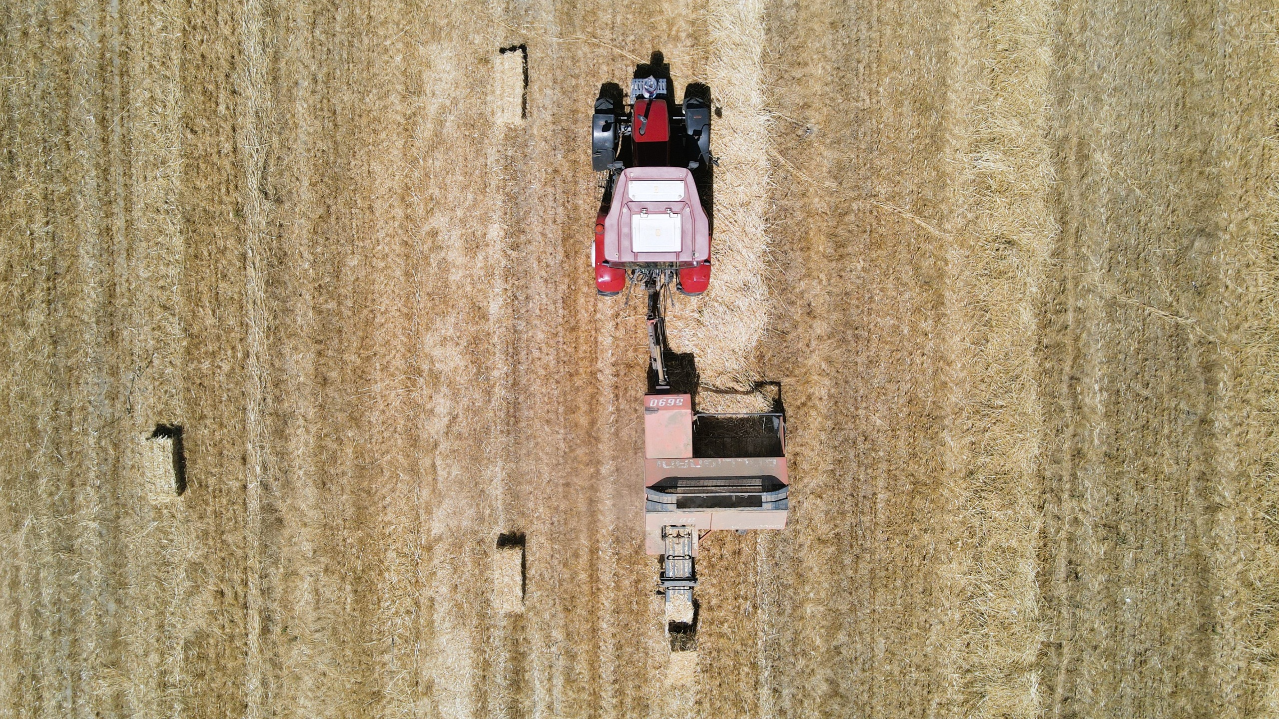 İŞ BİRLİĞİ PROJESİ HAYVANCIYA NEFES OLDU