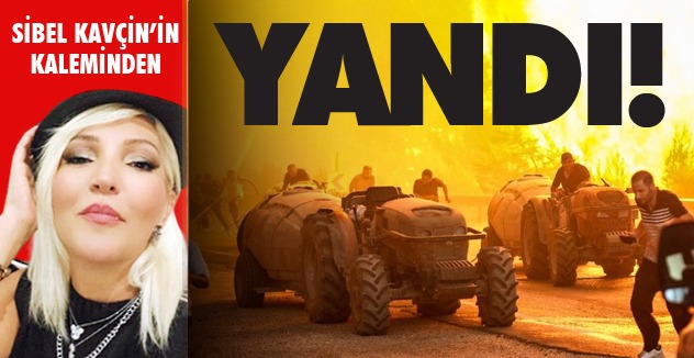 YANDI!