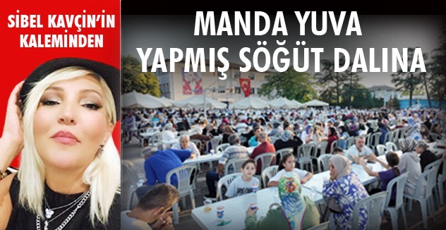 Manda yuva yapmış söğüt dalına