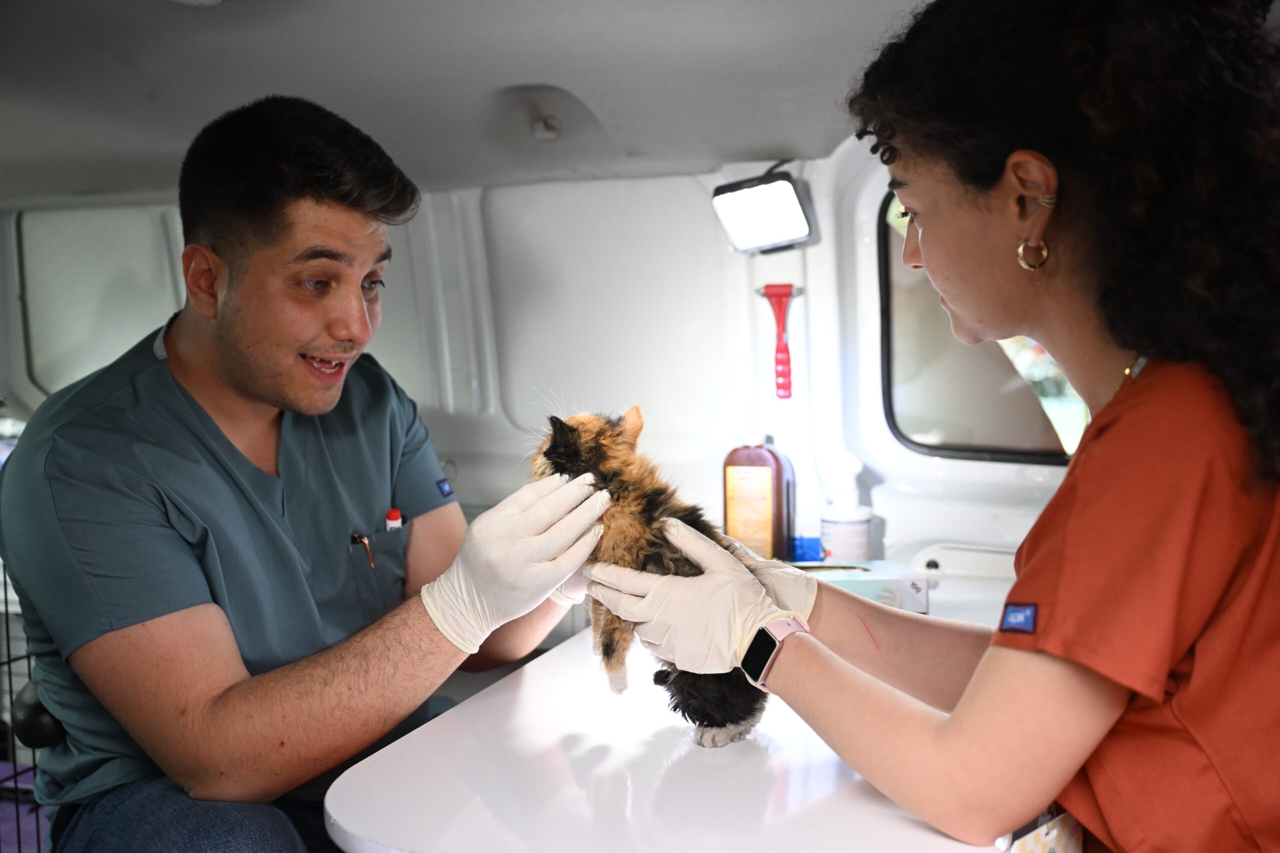 YILDIRIM’DA PATİLİ CANLARA MOBİL HİZMET