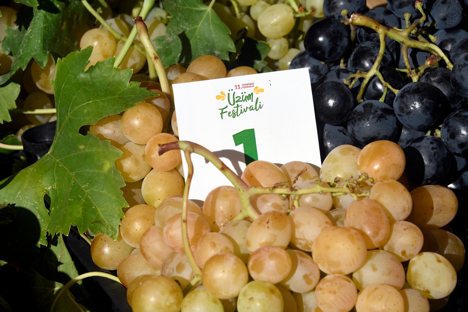 En kaliteli üzümler Osmangazi’de yarıştı