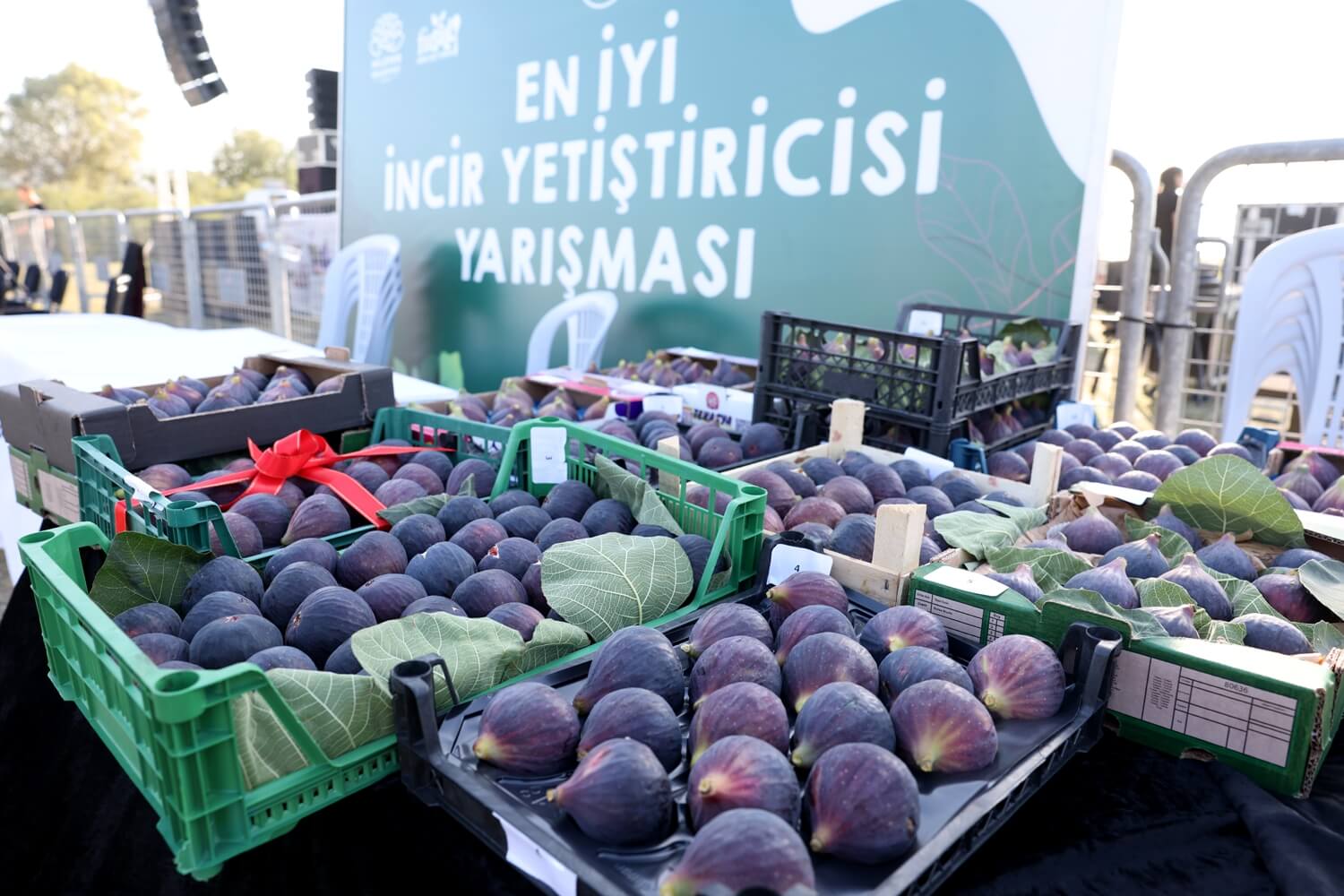 11. Akçalar İncir Festivali 14 Eylül'de