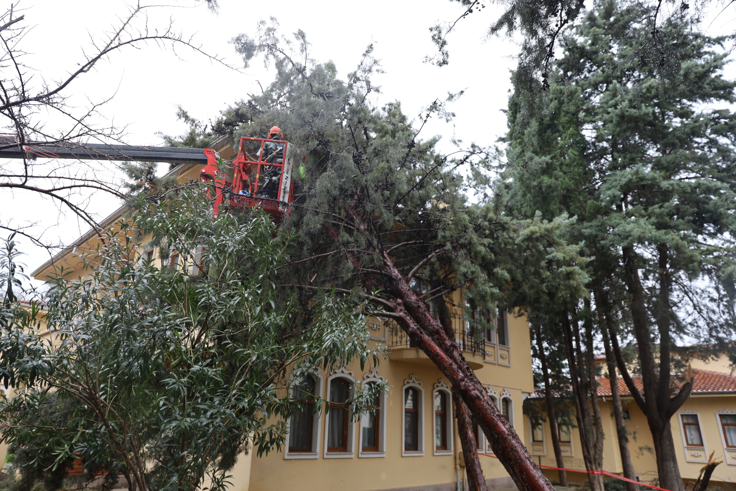 Büyükşehir ekipleri, şiddetli rüzgara karşı sahada