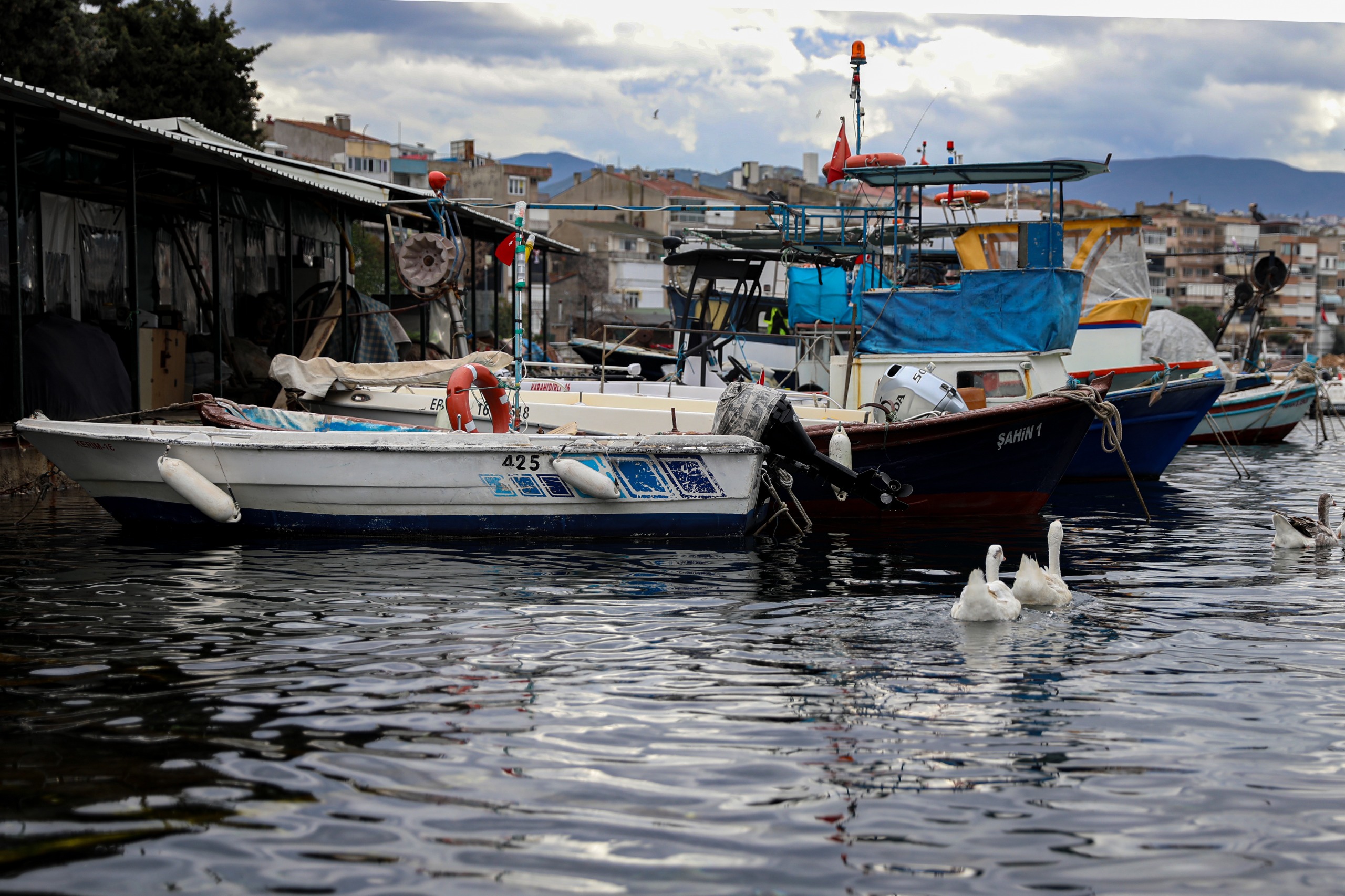 Balık sizden, mazot bizden